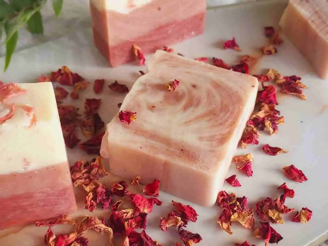 Rose Soap
